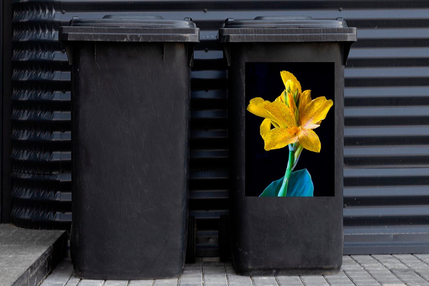 MuchoWow Wandsticker und gelben St), einer Sticker, blauen Porträt (1 Abfalbehälter Container, Mülltonne, Canna-Blüte Mülleimer-aufkleber