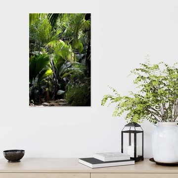 Posterlounge Poster Thomas Herzog, Dschungelpfad, Badezimmer Natürlichkeit Fotografie