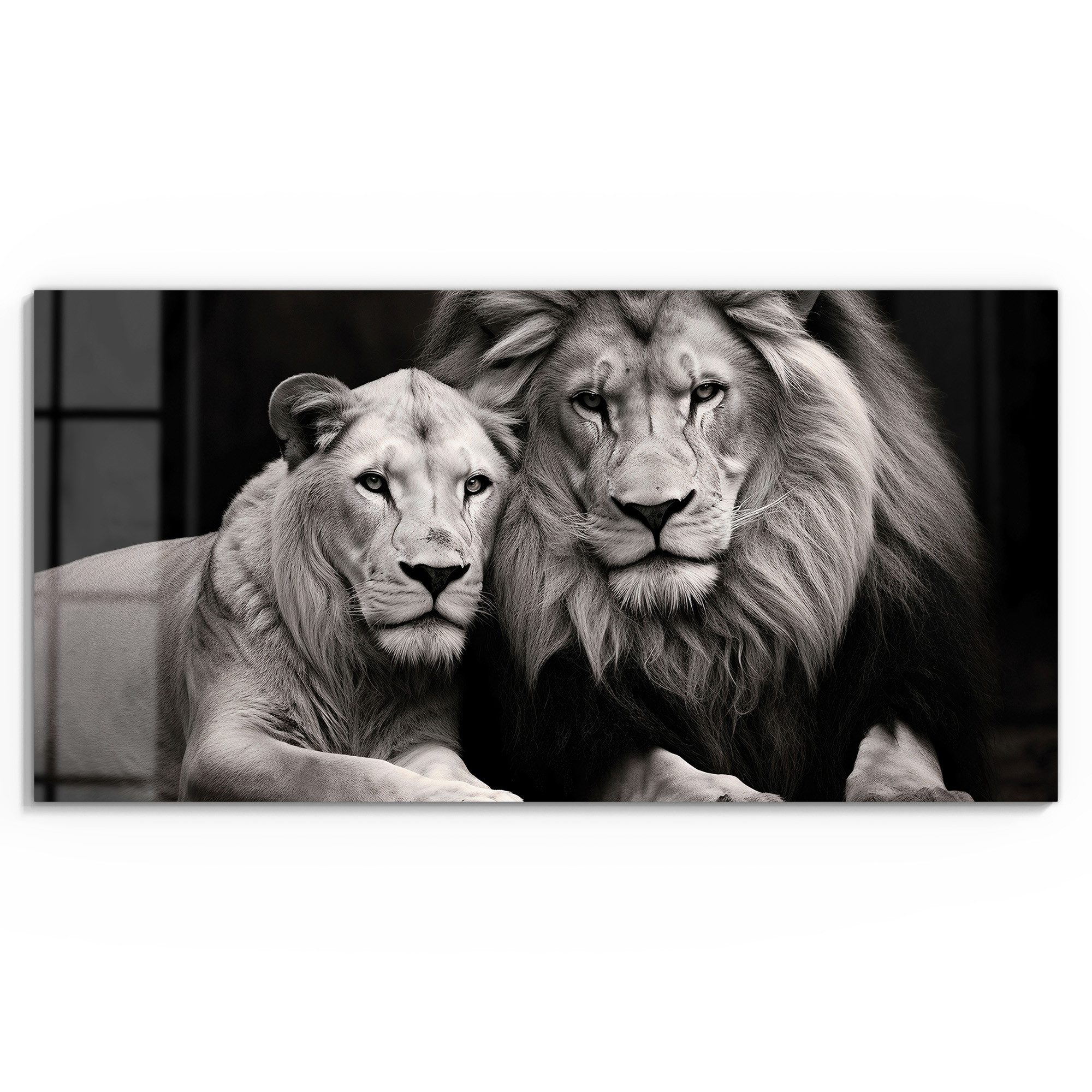 DEQORI Glasbild 'Stolzes Löwenpaar', 'Stolzes Löwenpaar', günstig online kaufen