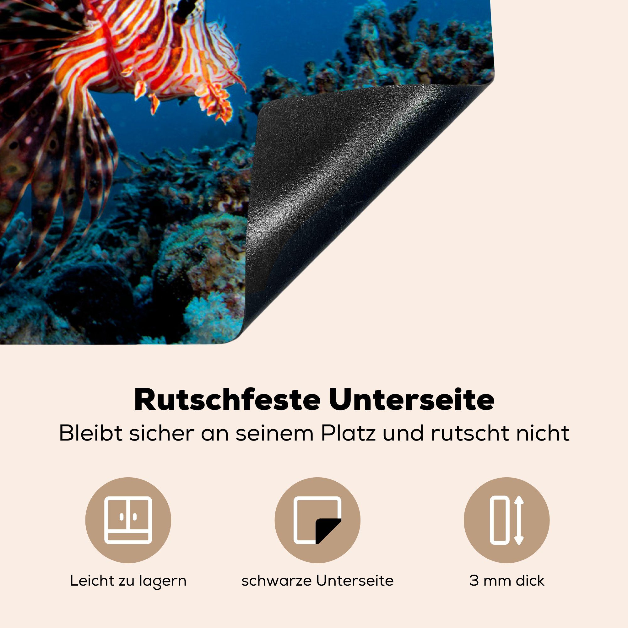 die Vinyl, Wasser (1 Herdblende-/Abdeckplatte küche, Induktionskochfeld MuchoWow Fische cm, 81x52 tlg), Korallenteufel, - Ceranfeldabdeckung - für Schutz