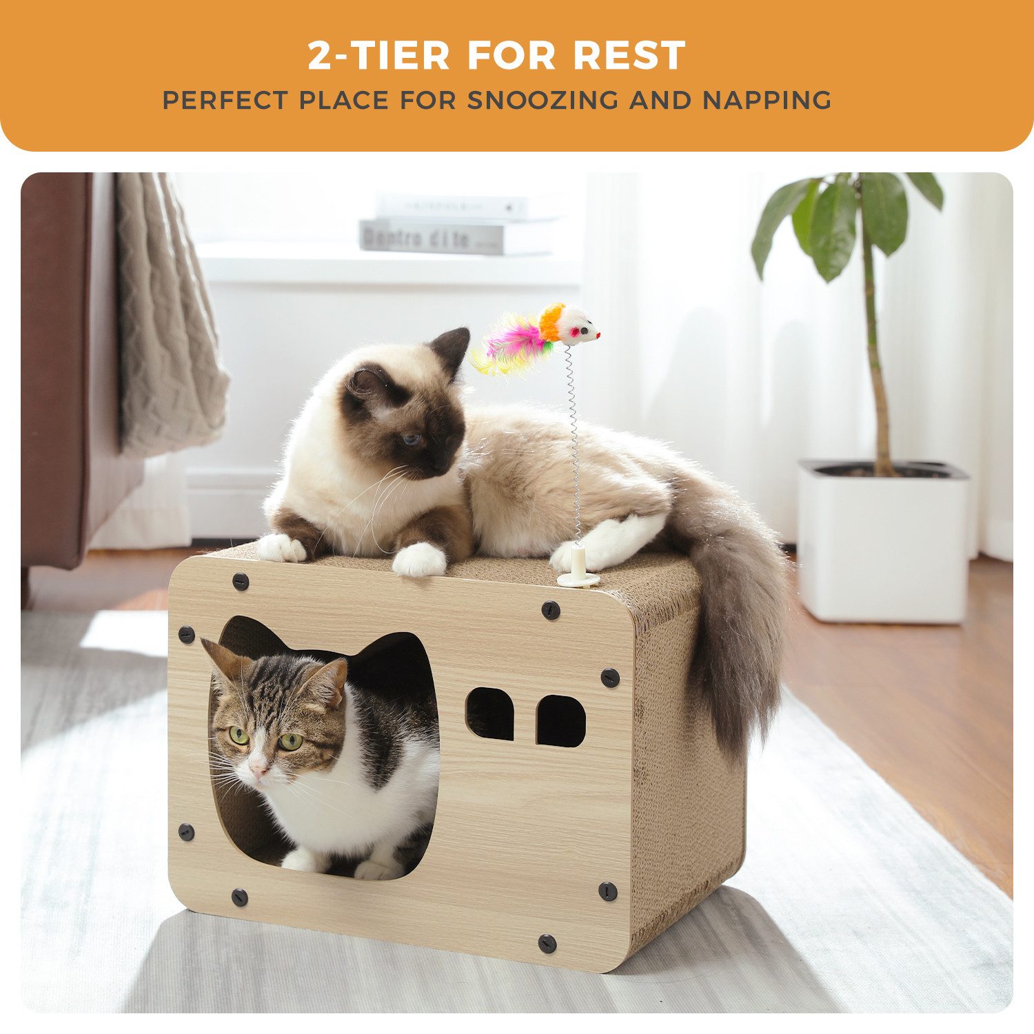 PETEPELA Kratzpappe 2 Stücke Kratzbrett Kratzpappe für Katzen, (2-tlg), Fernseher Design, platzsparendes Kratzhaus,beige