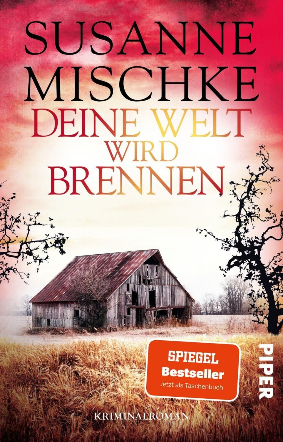 Deine Welt wird brennen / Susanne Mischke