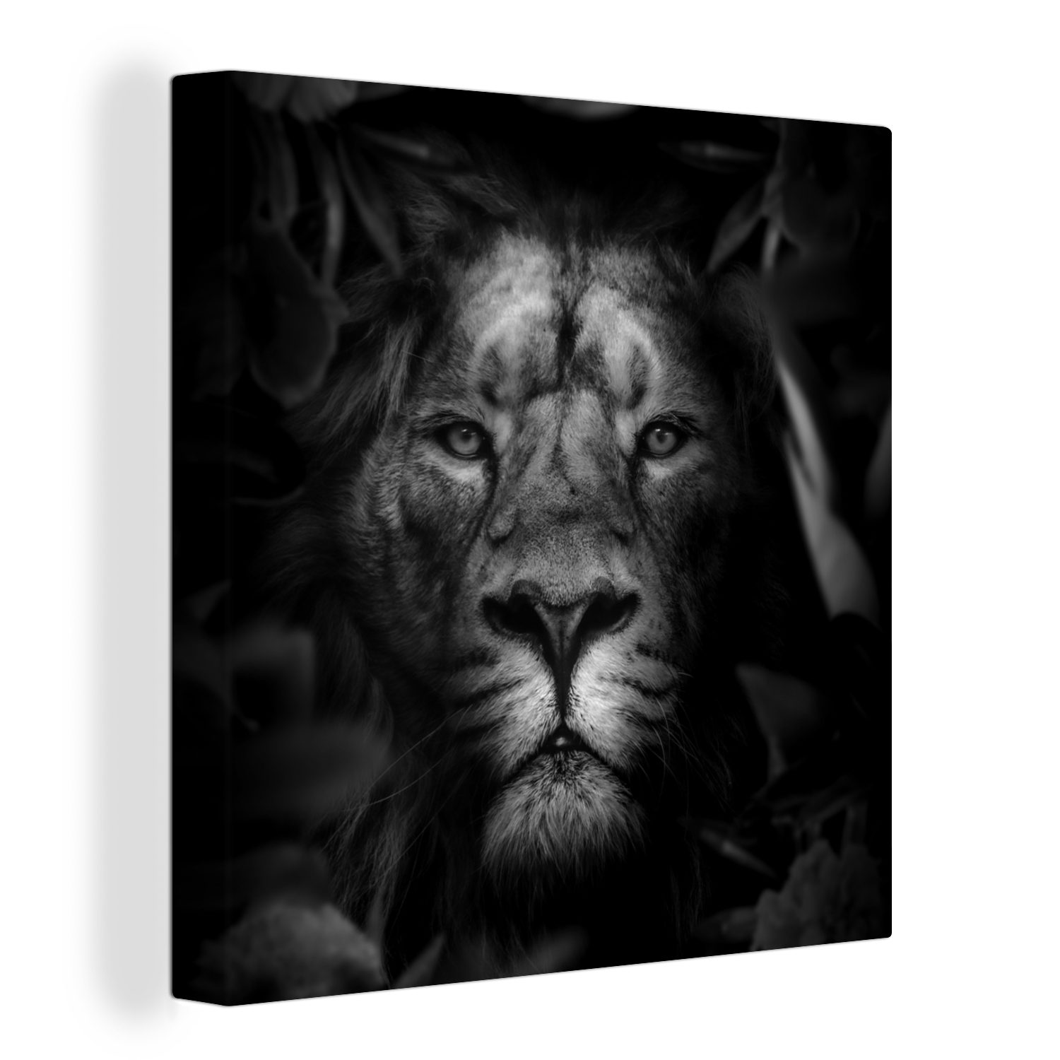 Tiere - Bilder Weiß, Wohnzimmer Schwarz für Dschungel (1 St), Löwe Schlafzimmer OneMillionCanvasses® - Leinwand - - Leinwandbild