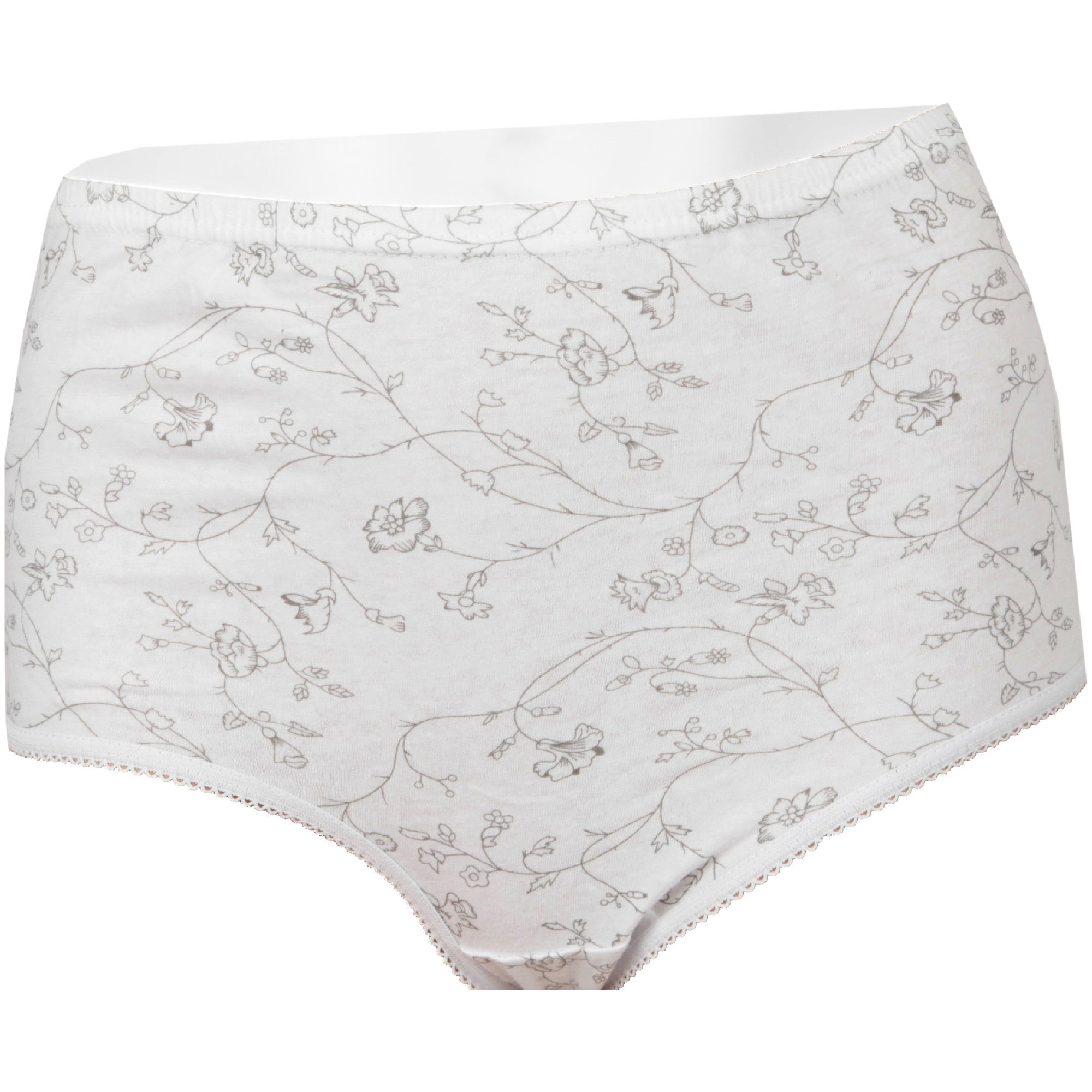 hemmy Fashion Hüftslip BHS-05152 (5-St) Damen Slips - 100% Baumwolle - hohe Taille mit Gummibund, Hüftslip