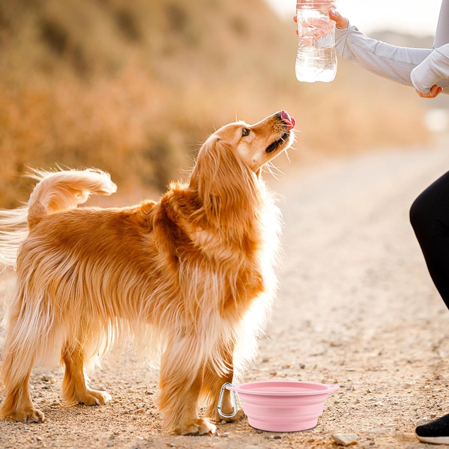 FELIXLEO Antischlingnapf 2 Stück Faltbare Reiseschale Silikon Hundenapf Auslaufsicher