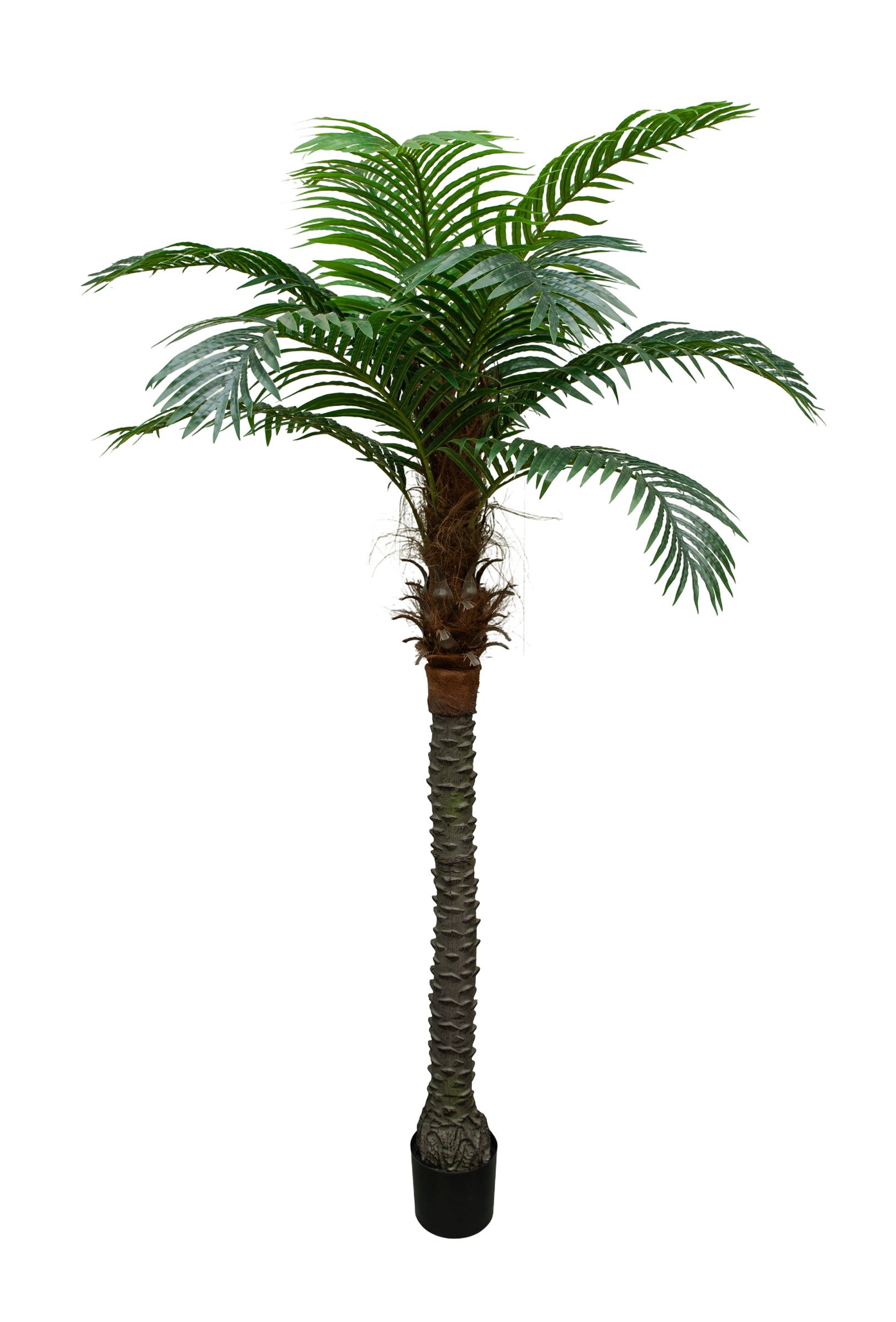 Kunstpalme Phönixpalme 210cm bis 230cm ZF Dekopalmen künstliche Palmen Palme, Seidenblumen Roß, Höhe 220 cm