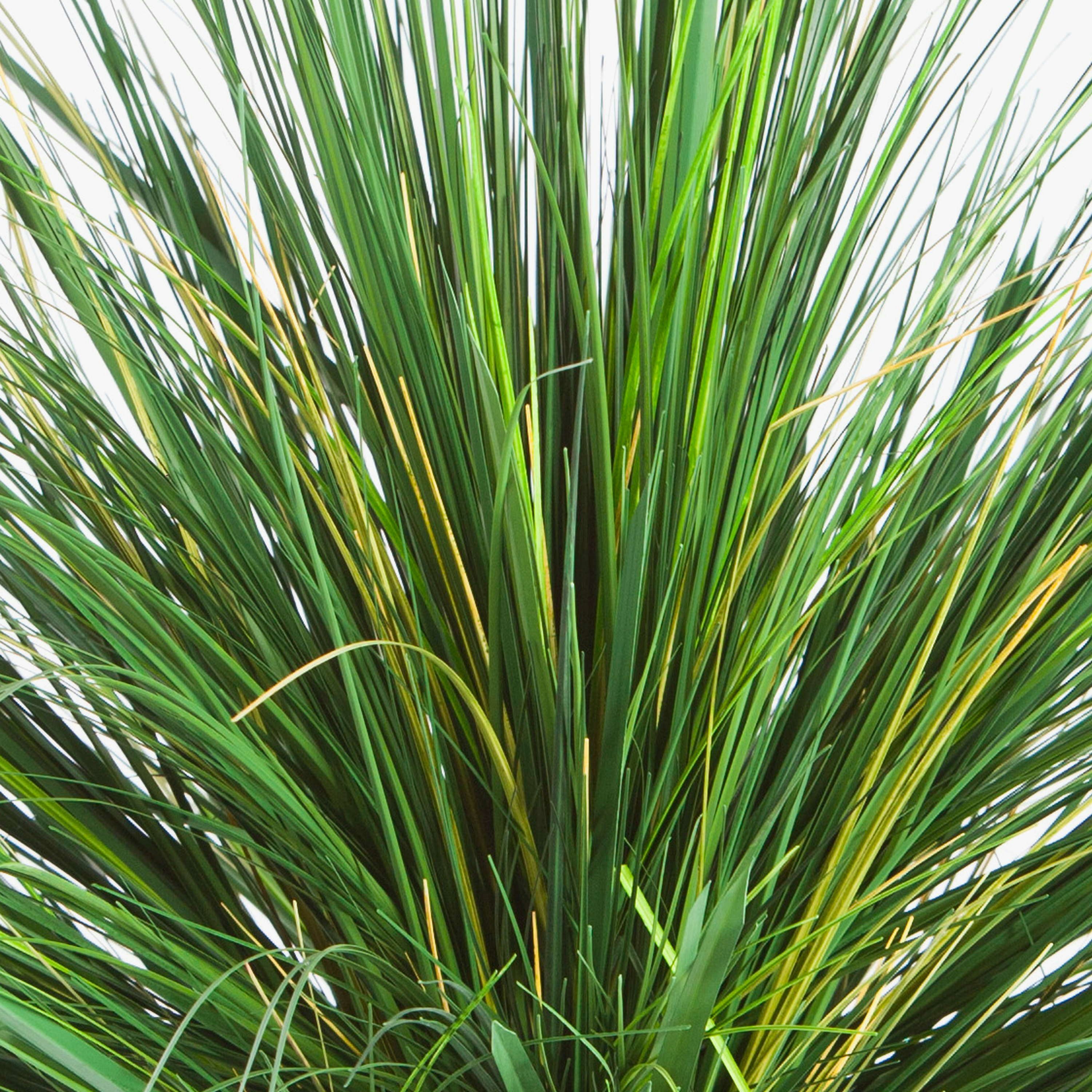 Kunstgras Künstliches Dünengras im Topf, grün, 50cm - Kunstgras Strandhafer, artplants, Höhe 50.0 cm