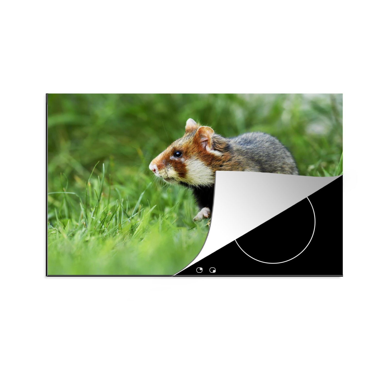 MuchoWow Herdblende-/Abdeckplatte Hamster läuft vorsichtig durch ein Grasfeld, Vinyl, (1 tlg), 81x52 cm, Induktionskochfeld Schutz für die küche, Ceranfeldabdeckung