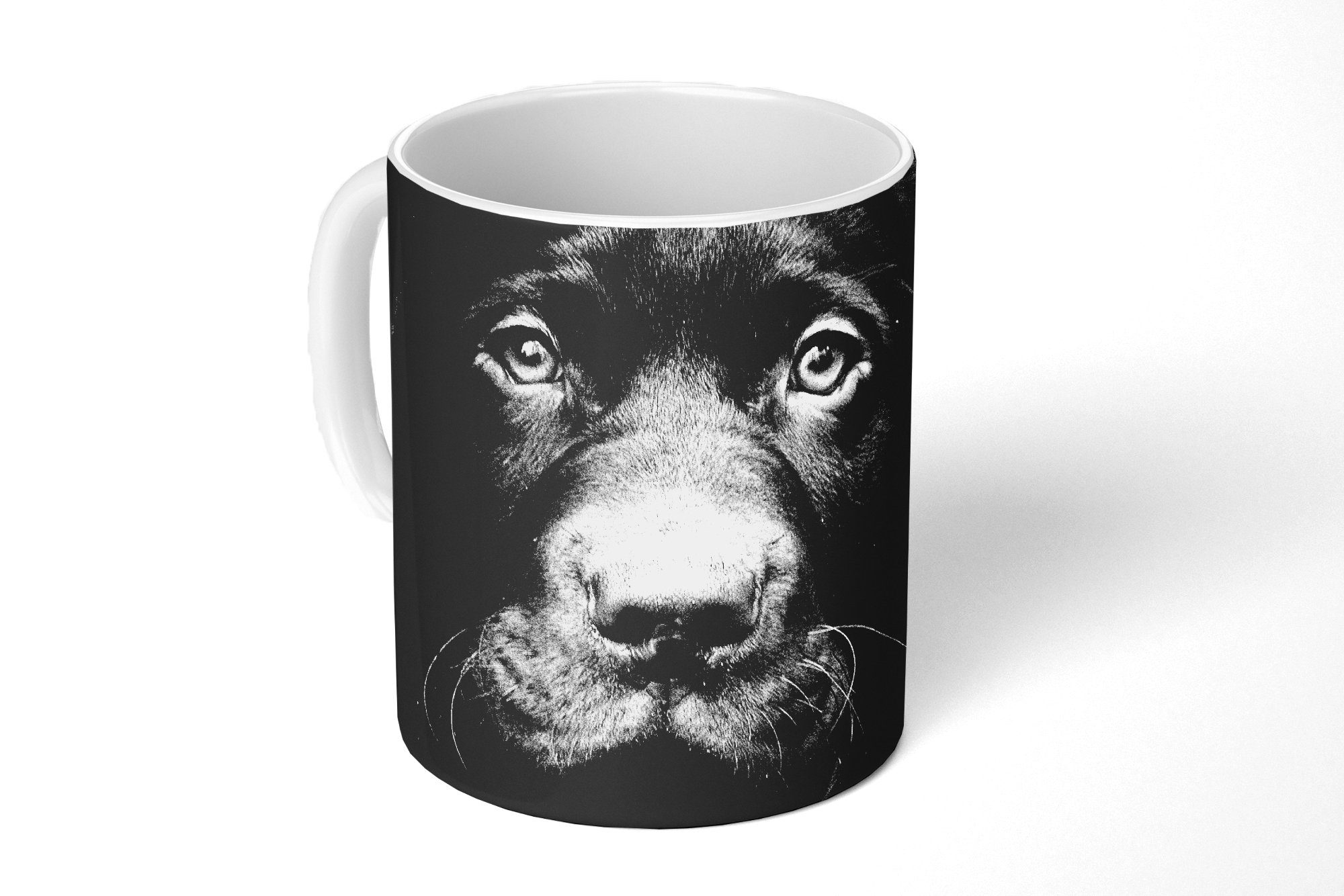 MuchoWow Tasse Nahaufnahme Labrador Welpe vor schwarzem Hintergrund in schwarz und, Keramik, Kaffeetassen, Teetasse, Becher, Teetasse, Geschenk