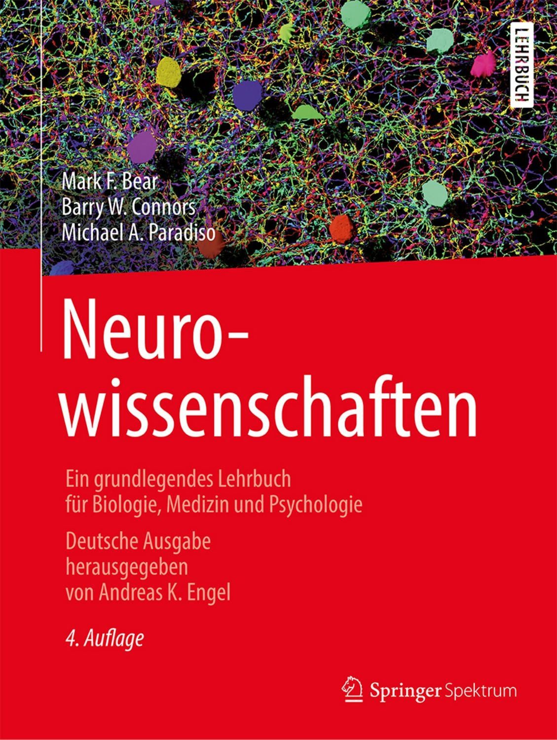 Neurowissenschaften / Mark F. Bear, Barry W. Connors, Michael A. Paradiso