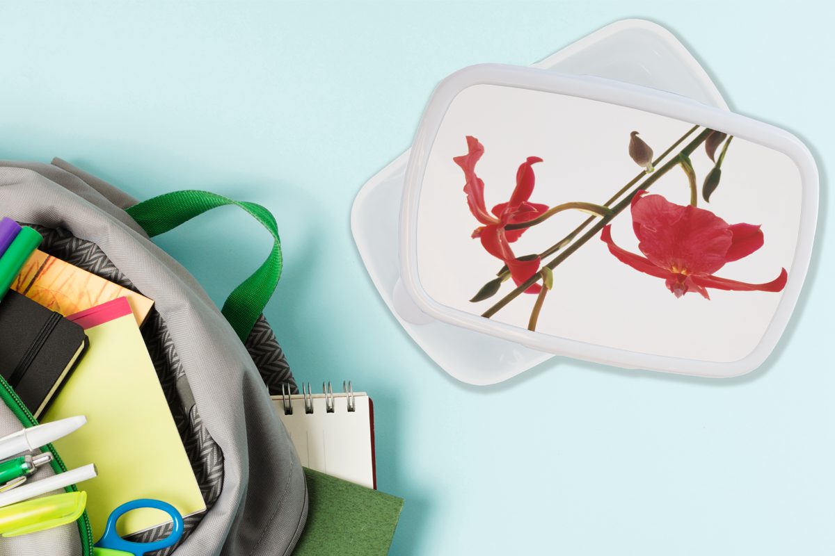 Zwei Brotdose, und vor Hintergrund, für (2-tlg), rote Mädchen MuchoWow und weißen Jungs einem Kinder Erwachsene, Kunststoff, Brotbox für Lunchbox Orchideen