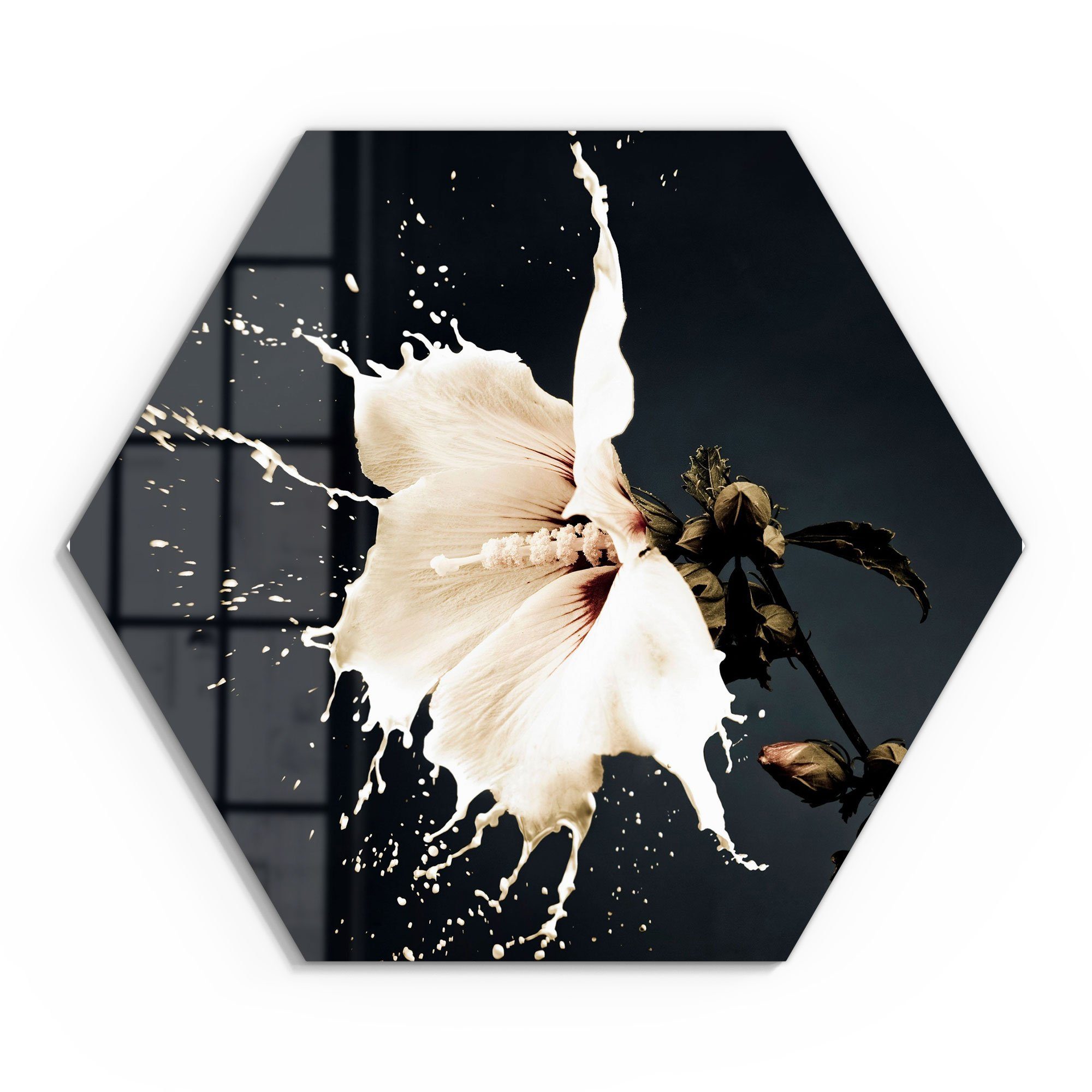 DEQORI Glasbild 'Milchige Blüte', 'Milchige Blüte', günstig online kaufen
