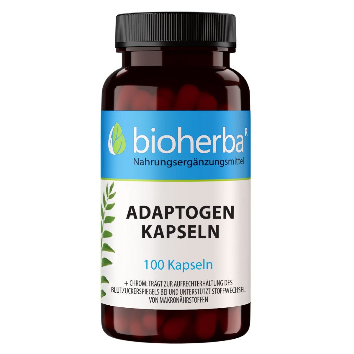 BIOHERBA R Bioherba Adaptogen Kapseln 100 Stück Nahrungsergänzungsmittel, 1 er