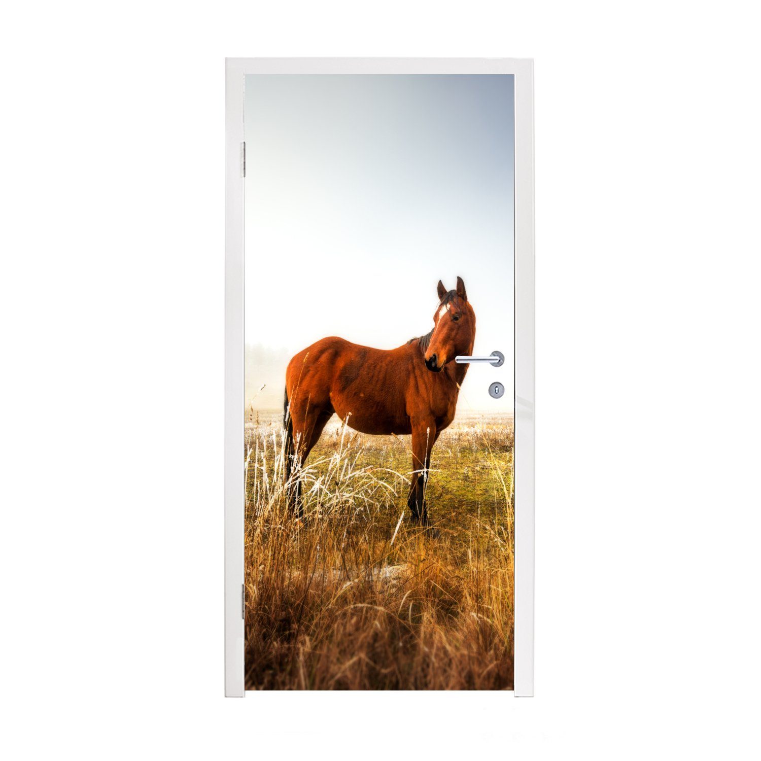 St), Australien, für (1 Türtapete cm - Matt, MuchoWow bedruckt, - Fototapete Türaufkleber, Tür, Pferd Weide 75x205