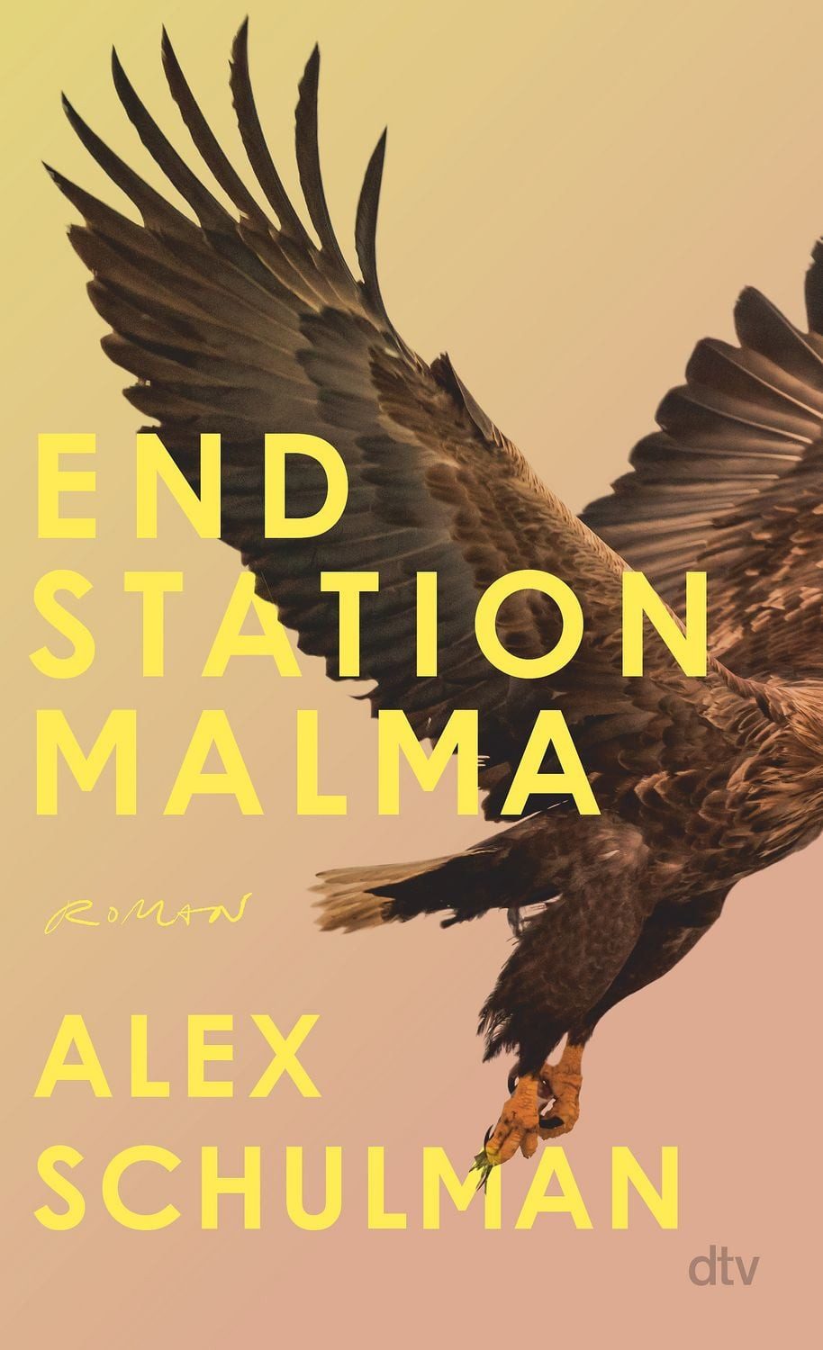Endstation Malma / Alex Schulman