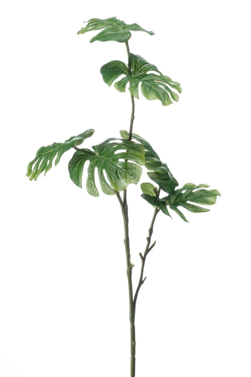Kunstpflanze, Emerald Eternal cm, Kunststoff Höhe H:72cm 72 B:27cm Grün Green