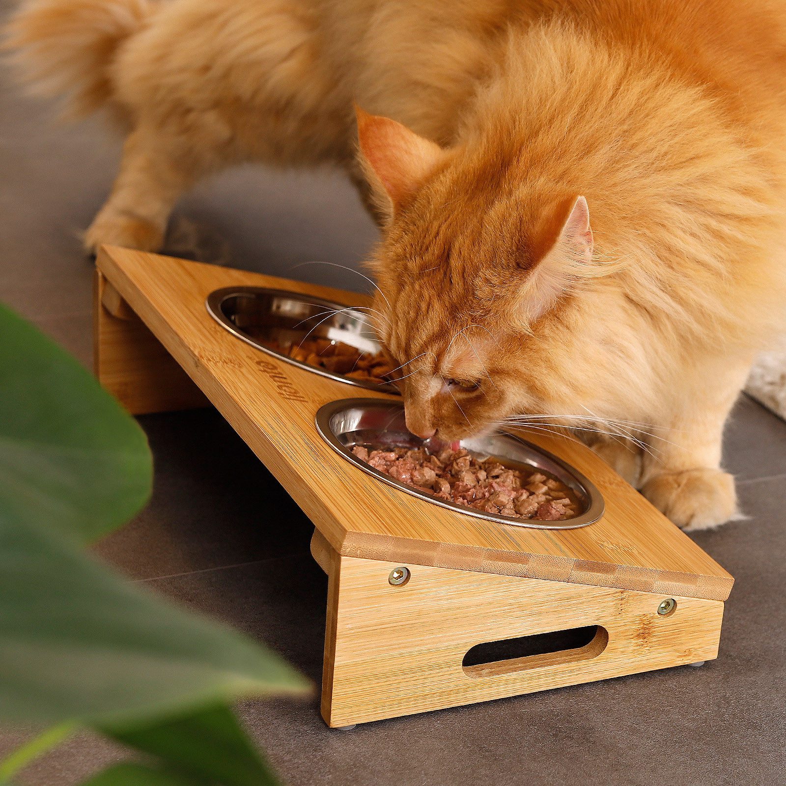 lionto Futterstation erhöht, Doppelnapfständer aus Bambus, Futterbar, Edelstahl, rutschfest & leicht zu reinigen (2 x 250 ml)