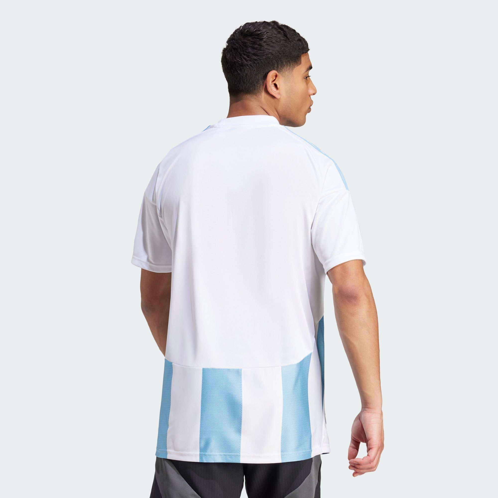 adidas Performance Trainingstop STRIPED 24 TRIKOT günstig online kaufen