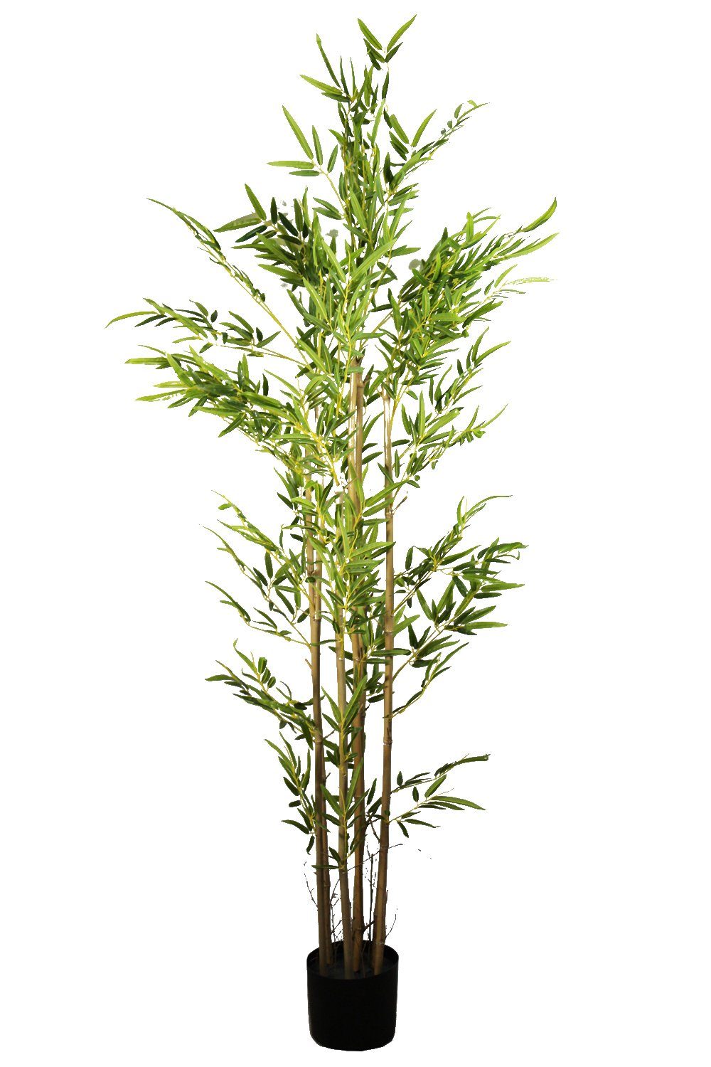 Kunstbambus »Künstlicher Bambus Kunstpflanze KP630« Bambus, Arnusa, Höhe  180 cm, Real-Touch, im Topf online kaufen | OTTO