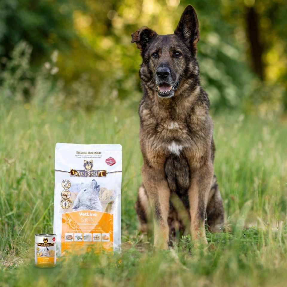Wolfsblut Vetline Skin & Coat - Premium Trockenfutter bei Haut- & Fellproblemen, Trockenfutter für: Hunde