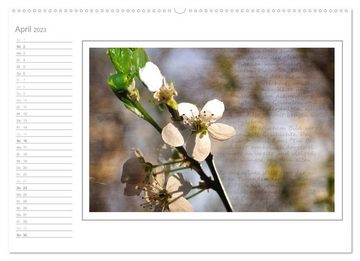 CALVENDO Wandkalender Blütenpracht, nicht nur ein Geburtstagskalender (Premium, hochwertiger DIN A2 Wandkalender 2023, Kunstdruck in Hochglanz)