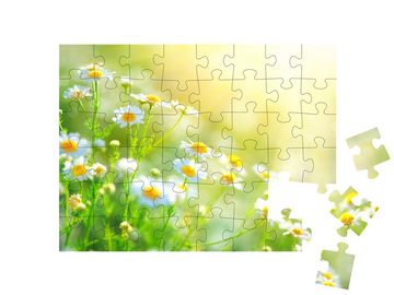 puzzleYOU Puzzle Kamille auf dem Feld, 48 Puzzleteile, puzzleYOU-Kollektionen Flora, Blumen, Pflanzen, Blumen & Pflanzen