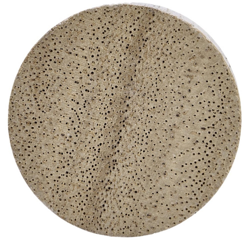 Thumbnail - magnetoplan® Magnet magnetoplan Magnet Circle 30 mm Walnuss 4 St. 1665451