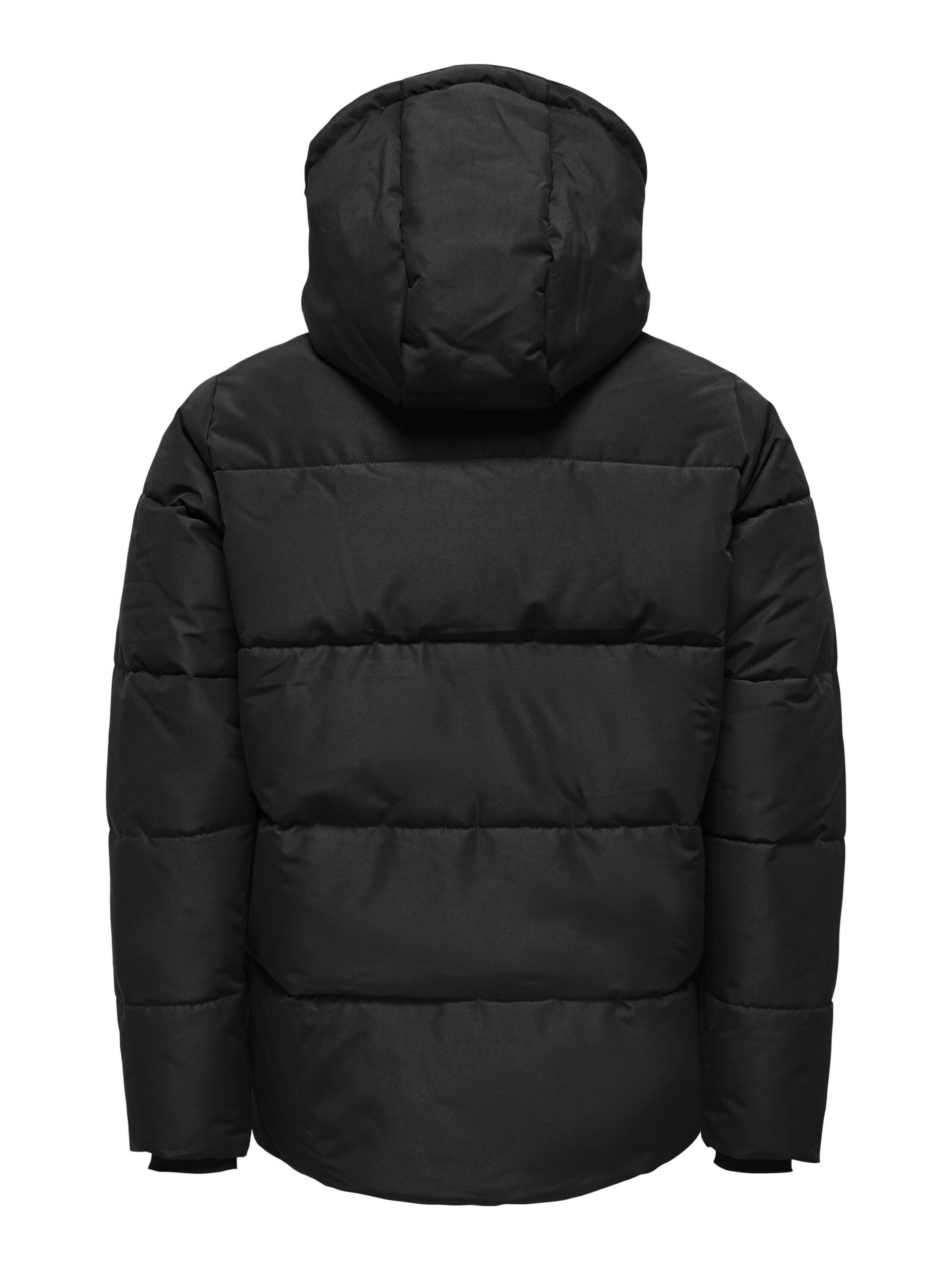 ONLY & SONS Winterjacke Carl (1-St)
