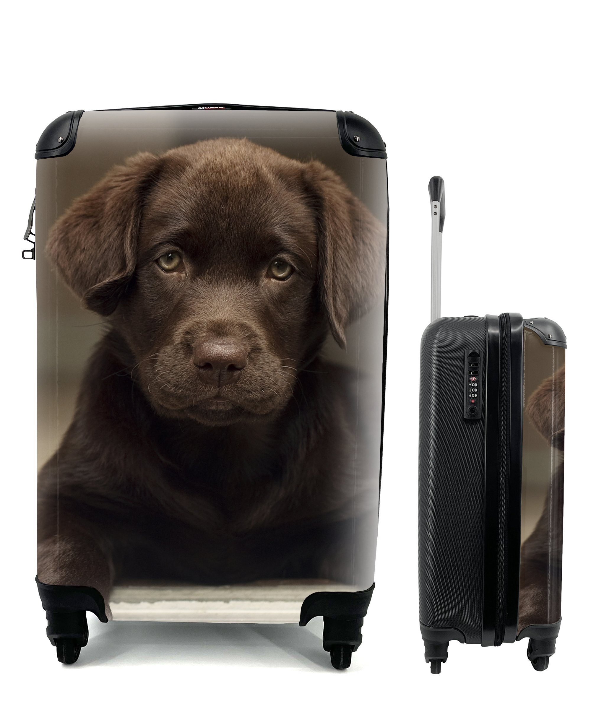 MuchoWow Handgepäckkoffer Niedlicher Labrador Retriever schaut in die Kamera, 4 Rollen, Reisetasche mit rollen, Handgepäck für Ferien, Trolley, Reisekoffer