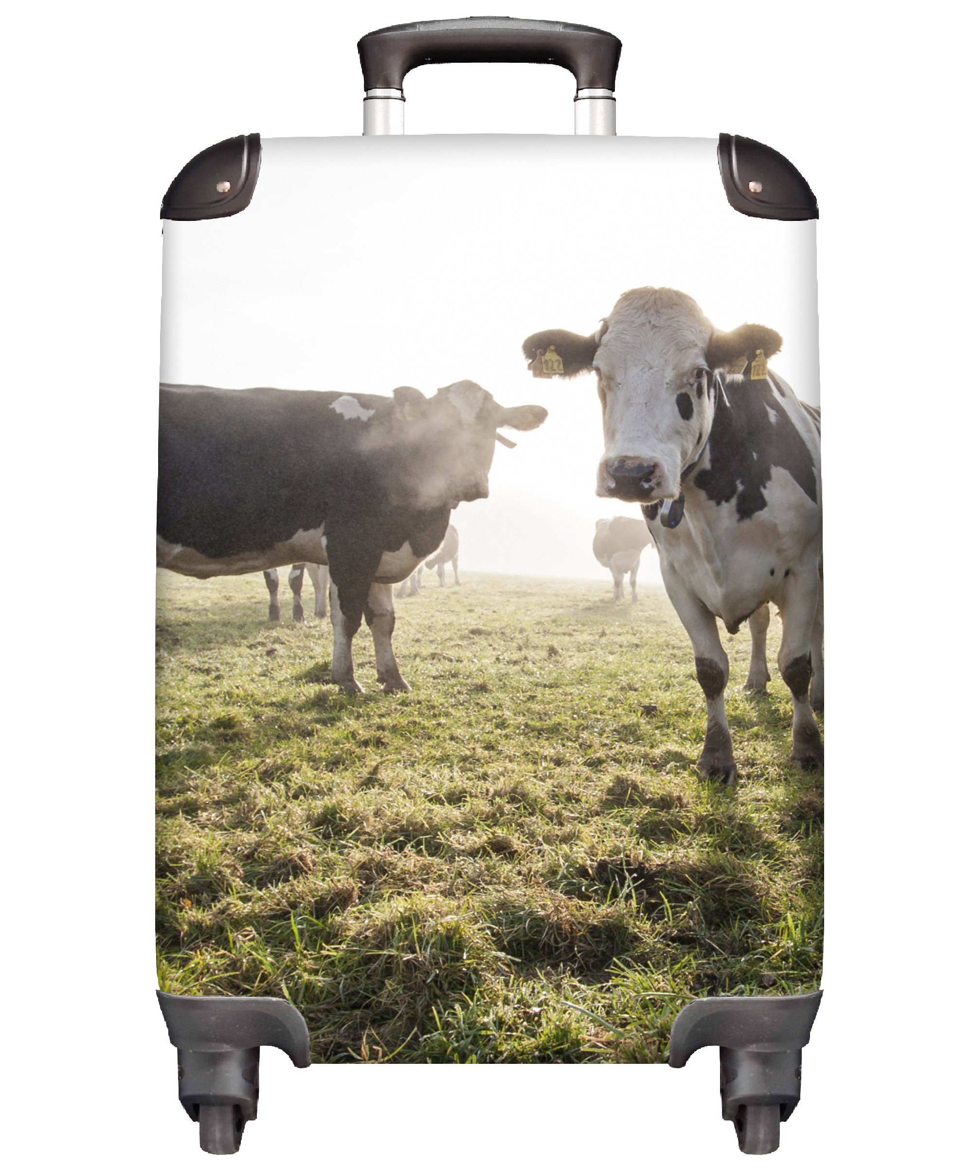 MuchoWow Handgepäckkoffer Kühe - Licht - Gras - Tiere, 4 Rollen, Reisetasche mit rollen, Handgepäck für Ferien, Trolley, Reisekoffer