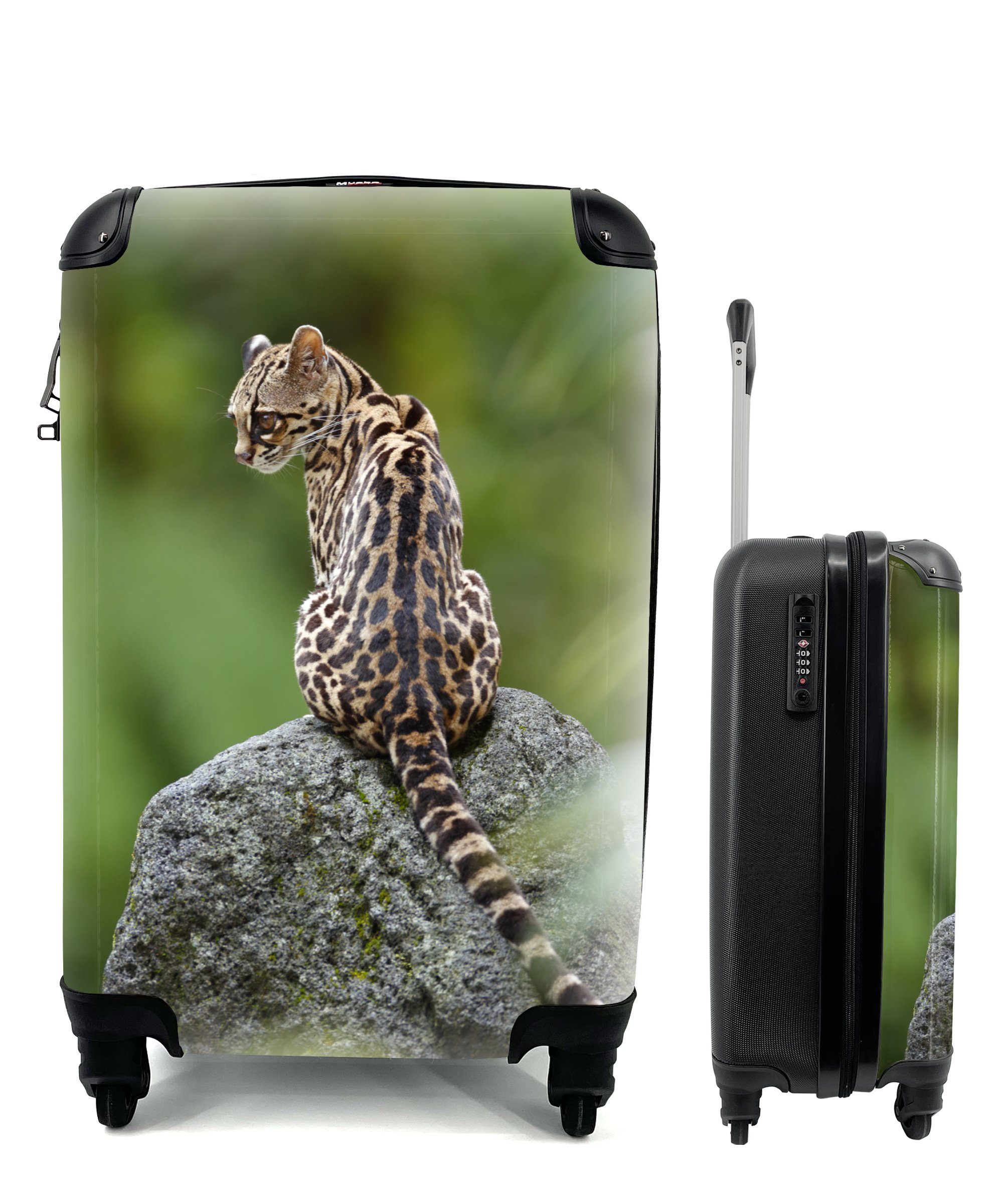 MuchoWow Handgepäckkoffer Baumkatze auf Stein, Handgepäck Reisekoffer Ferien, Rollen, mit 4 Reisetasche Trolley, rollen, für