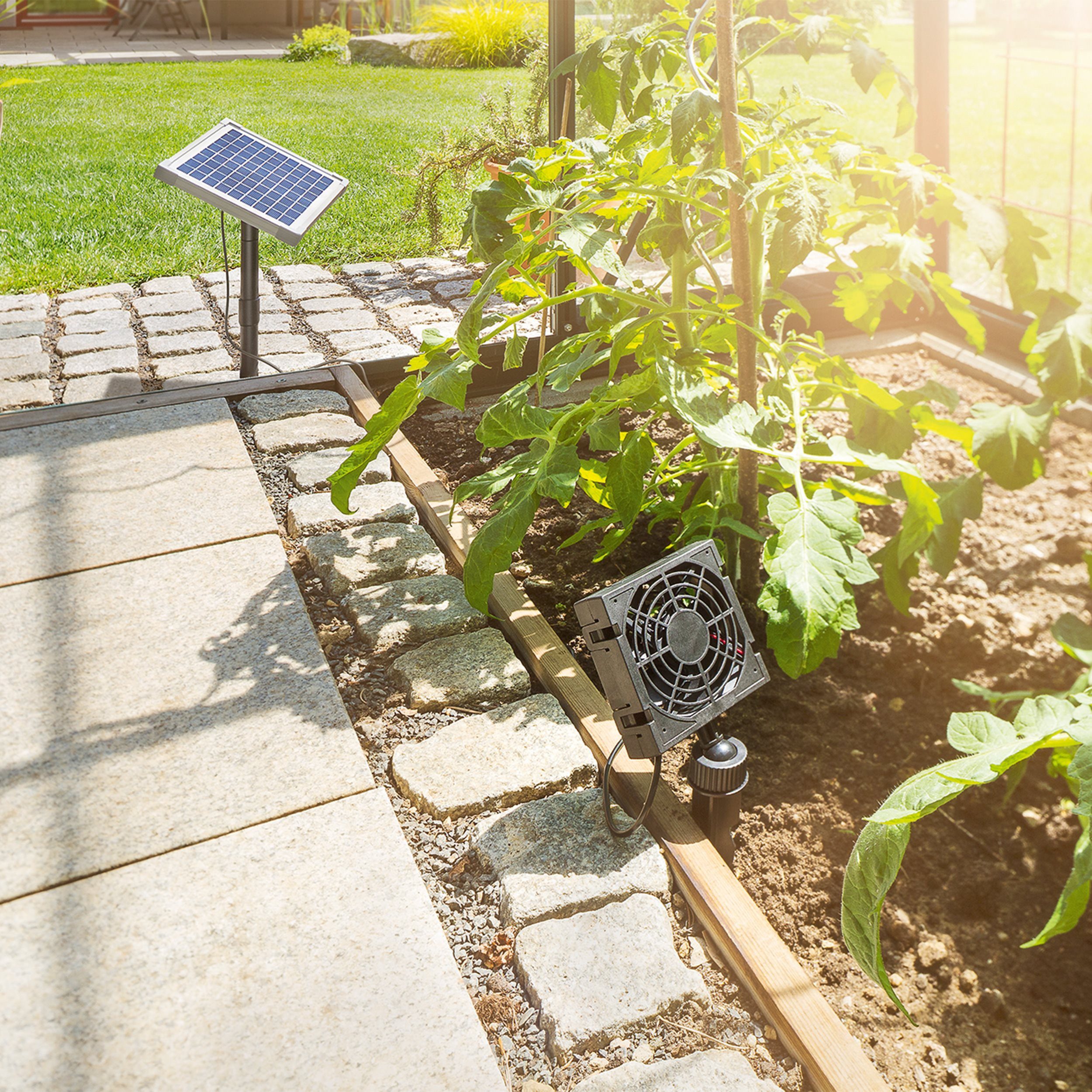 esotec Gewächshaus Solar Lüftersystem Fresh Air Solar-Ventilator 10x10x2,5c günstig online kaufen