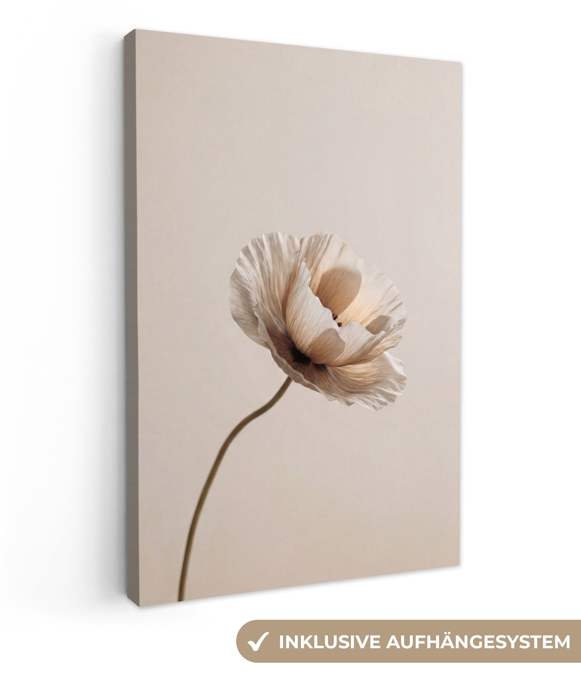 OneMillionCanvasses® Leinwandbild Blume - Beige - Creme, Fotodruck (1 St), Leinwand Canvas Wandbild, Wanddekoration 20x30 cm