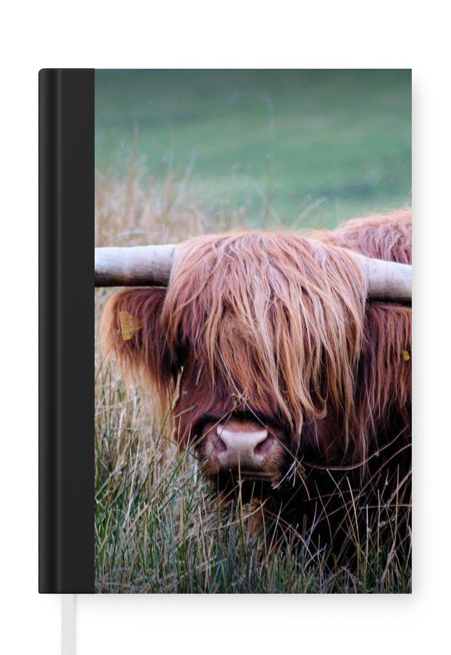 MuchoWow Notizbuch Schottischer Highlander - Hörner - Gras, Journal, Merkzettel, Tagebuch, Notizheft, A5, 98 Seiten, Haushaltsbuch | Notizbücher