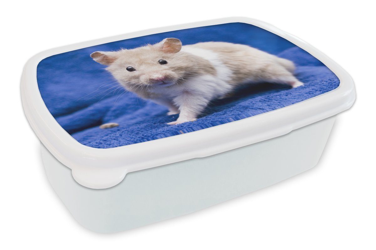 MuchoWow Lunchbox Syrischer Hamster, Kunststoff, (2-tlg), Brotbox für Kinder und Erwachsene, Brotdose, für Jungs und Mädchen weiß