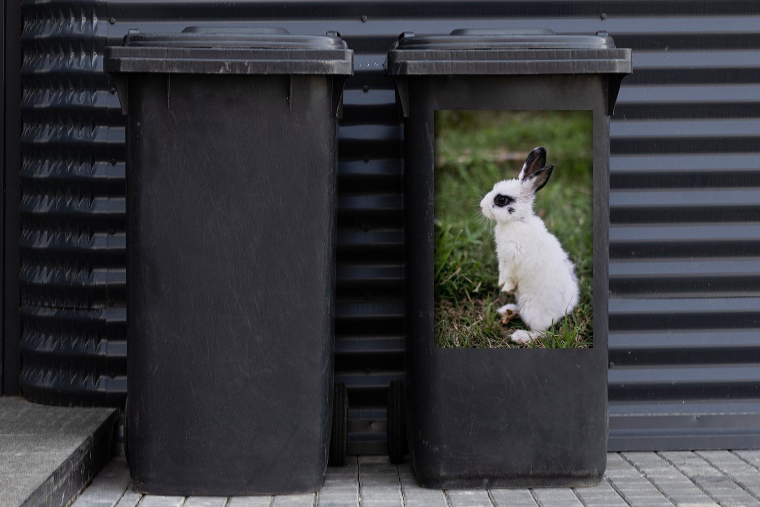 - MuchoWow St), (1 Wandsticker Gras Kaninchen Container, Abfalbehälter Mülleimer-aufkleber, - Haustier Sticker, Mülltonne,