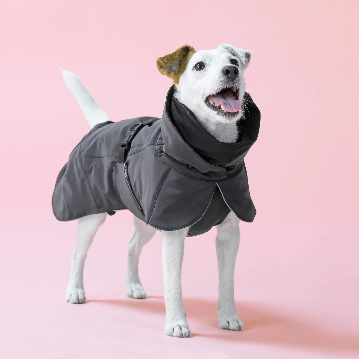 PAIKKA Hundemantel Hunde Winter-Jacke reflektierend "Visibility" grau/dark