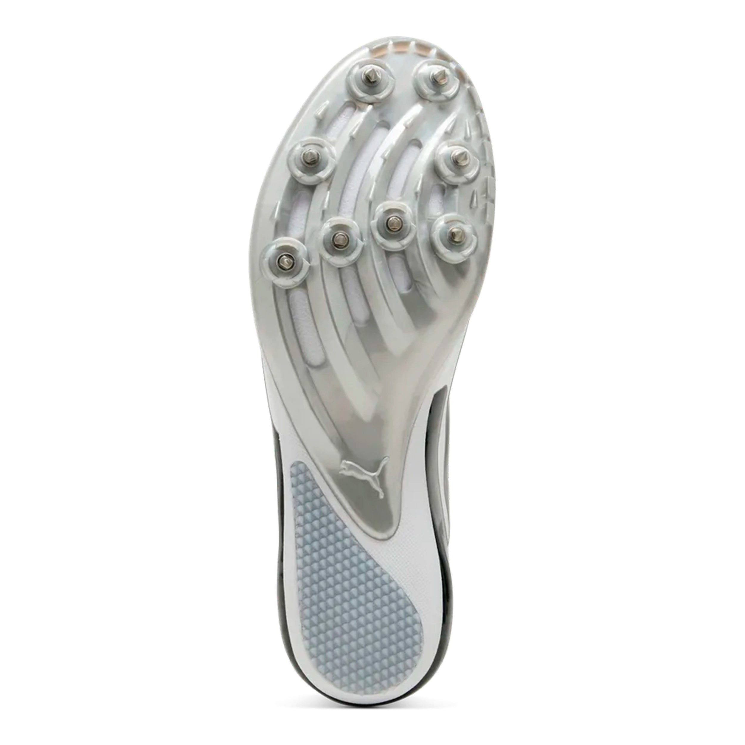 PUMA Evospeed Sprint 14.5 - Spikeschuh Laufschuh