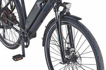 Prophete E-Bike Entdecker e2000, 10 Gang Shimano Deore Schaltwerk, Kettenschaltung, Heckmotor, 672 Wh Akku, (mit Lenkertasche, mit Seitentasche)