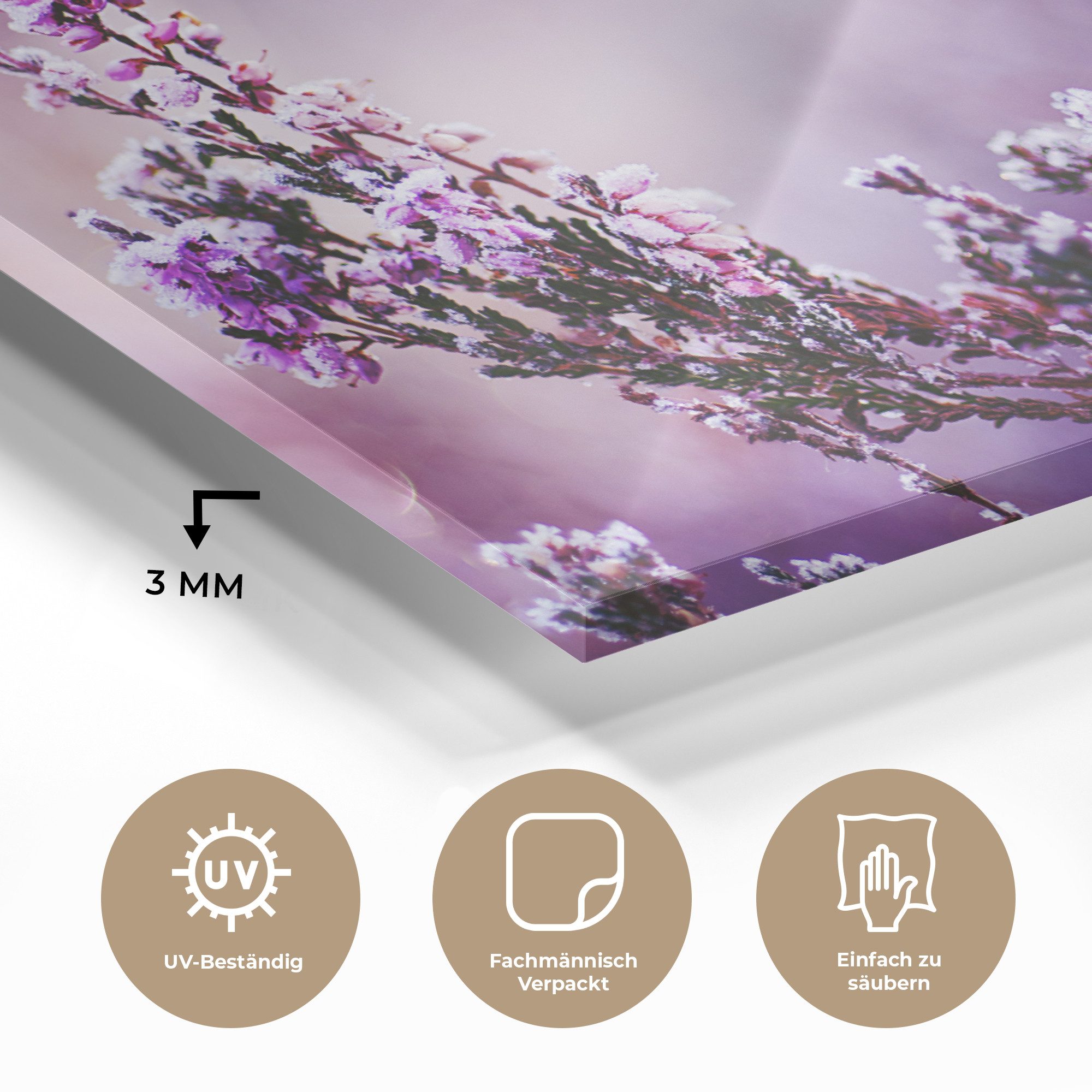 MuchoWow Acrylglasbild Lavendel - Winter - Blumen - Lila, Inkl. Aufhängung, Glasbilder Wohnzimmer, Schlafzimmer, Flur & Esszimmer, 30x20 cm