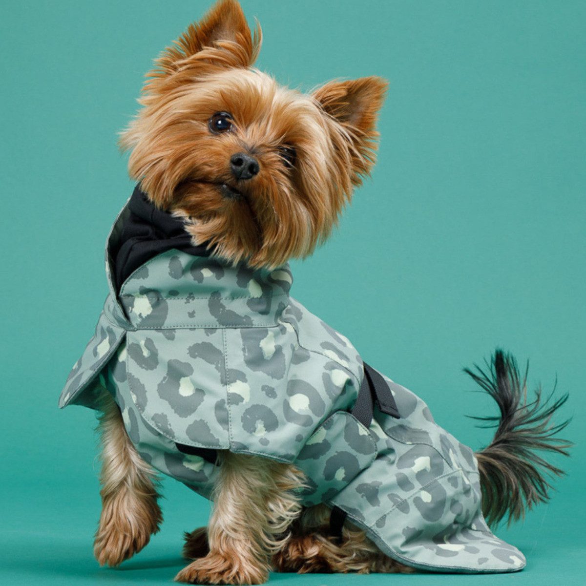 PAIKKA Hundemantel Hunde Winter-Jacke reflektierend "Visibility" green leo