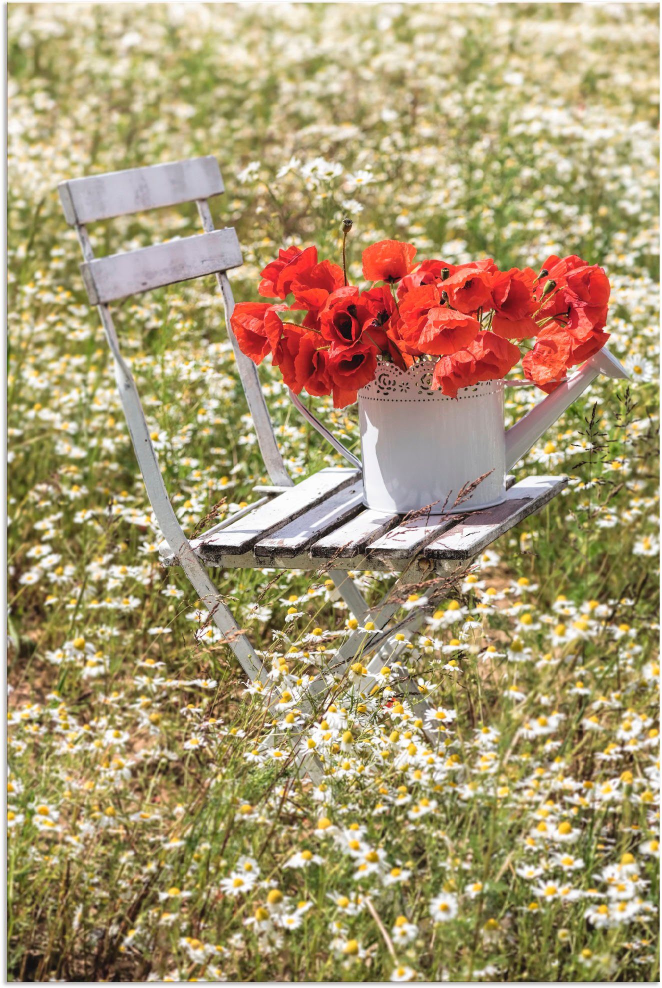 Artland Wandbild Stuhl im Kamille Feld mit Mohnblüten, Blumenwiese (1 St), als Alubild, Leinwandbild, Wandaufkleber oder Poster in versch. Größen