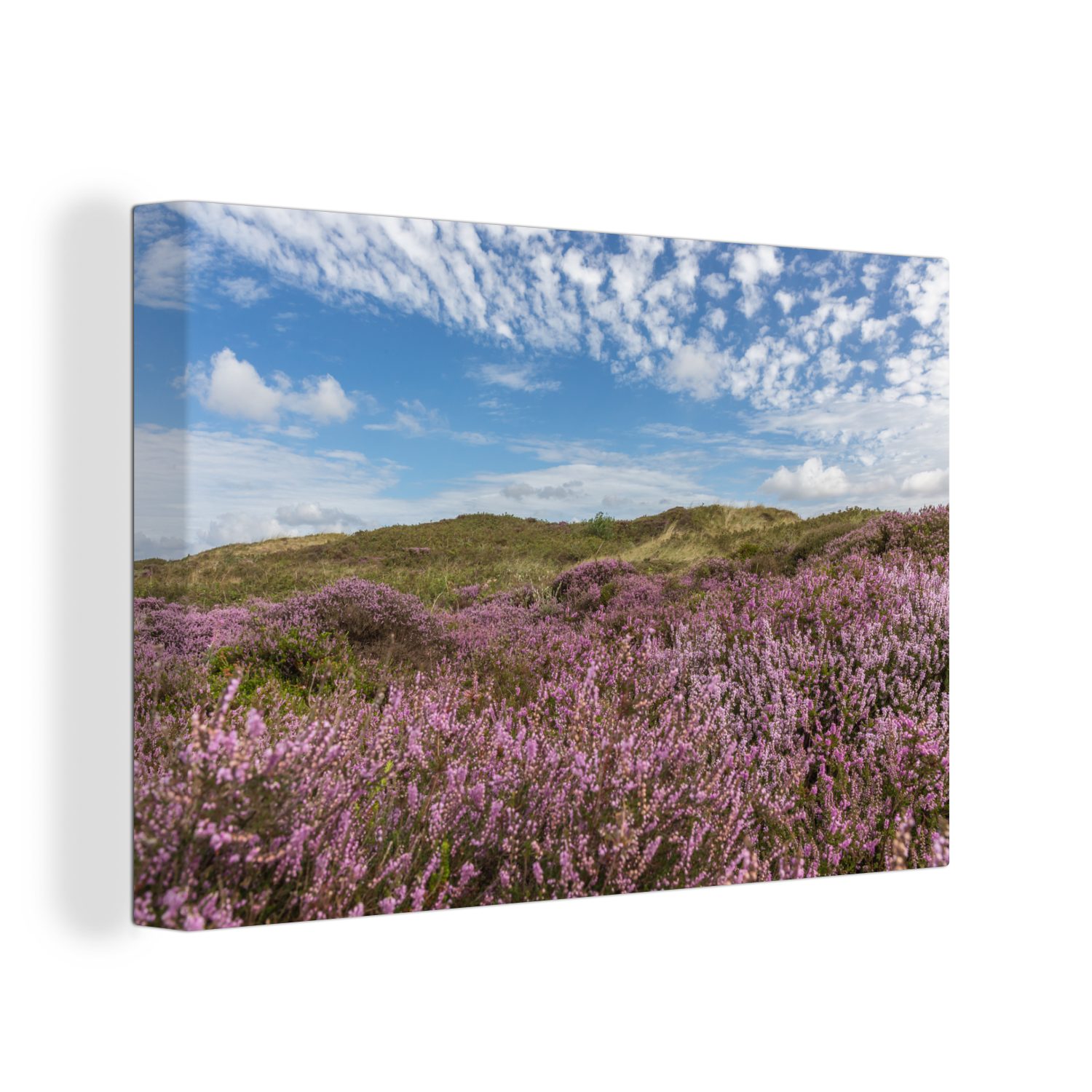 OneMillionCanvasses® Leinwandbild Düne - Blume - Watteninseln, (1 St), Wandbild Leinwandbilder, Aufhängefertig, Wanddeko, 30x20 cm
