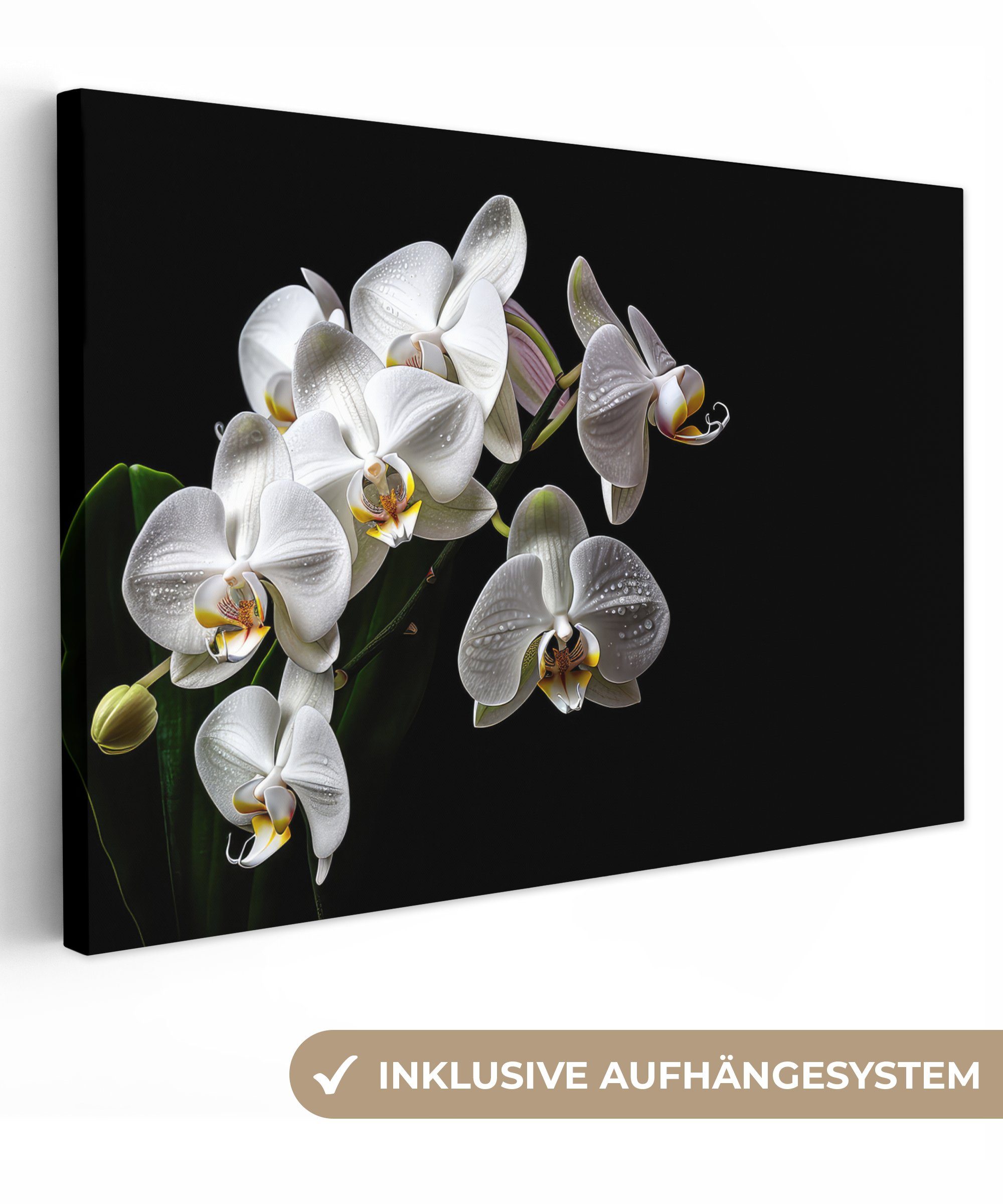 OneMillionCanvasses® Leinwandbild Orchidee - Blumen - Weiß - Natur - Schwarz, (1 St), Wandbild für alle Wohnbereiche, Gemälde, XXL, großes, 120x80 cm