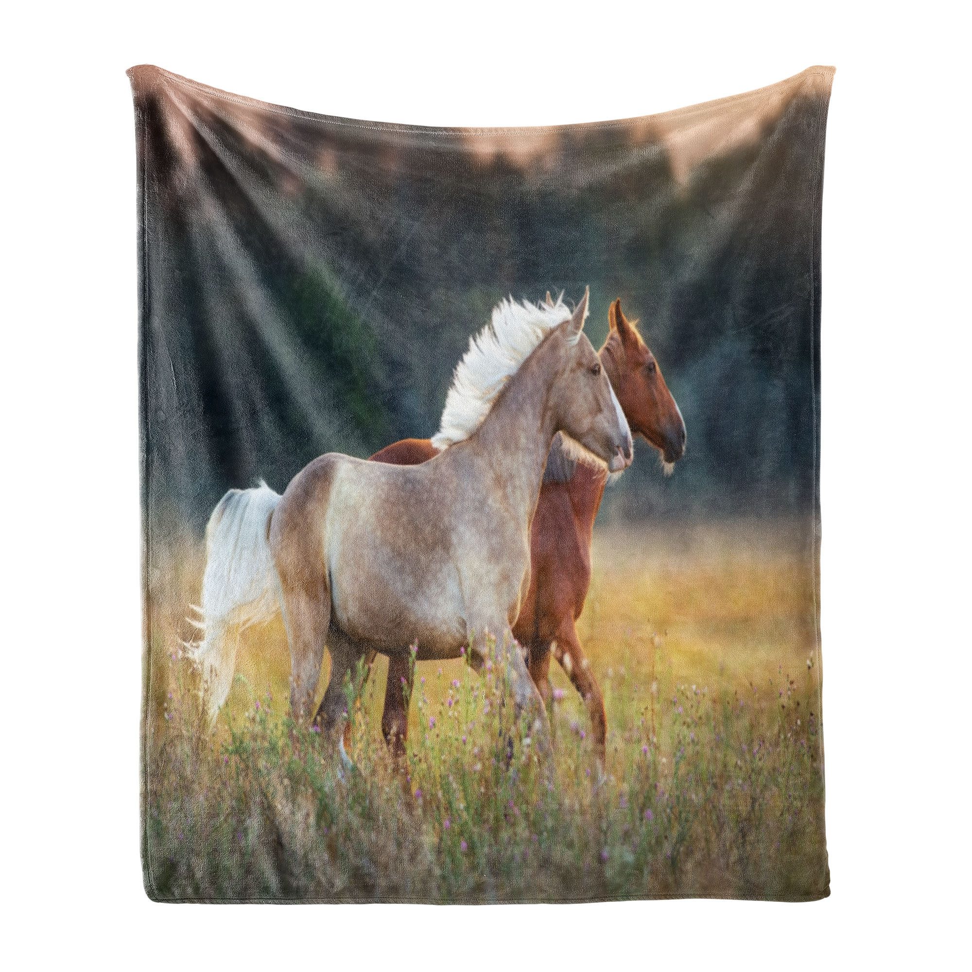 Wohndecke Gemütlicher Plüsch für den Innen- und Außenbereich