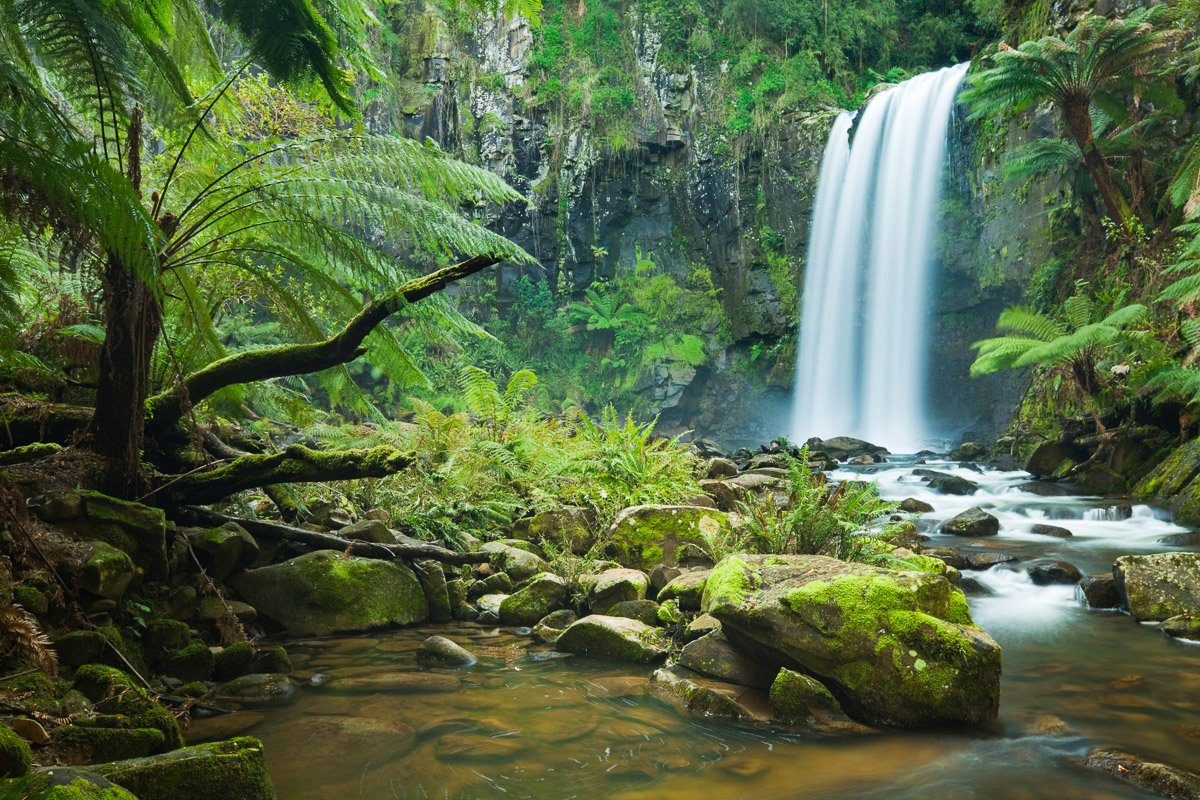 Wasserfall Papermoon Wald im Fototapete
