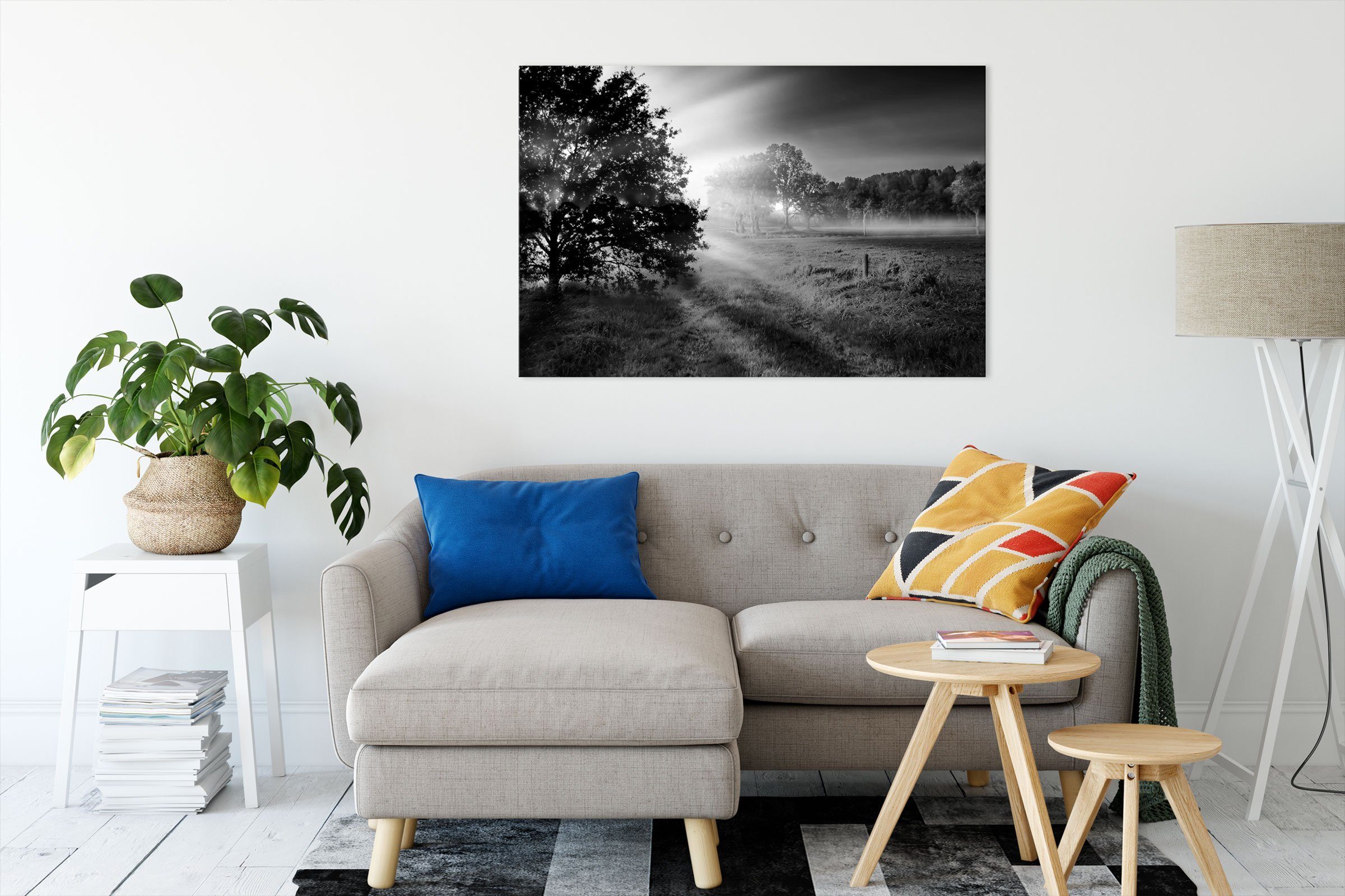 Pixxprint Leinwandbild schöne Lichtung im Wald, schöne Lichtung im Wald (1 günstig online kaufen