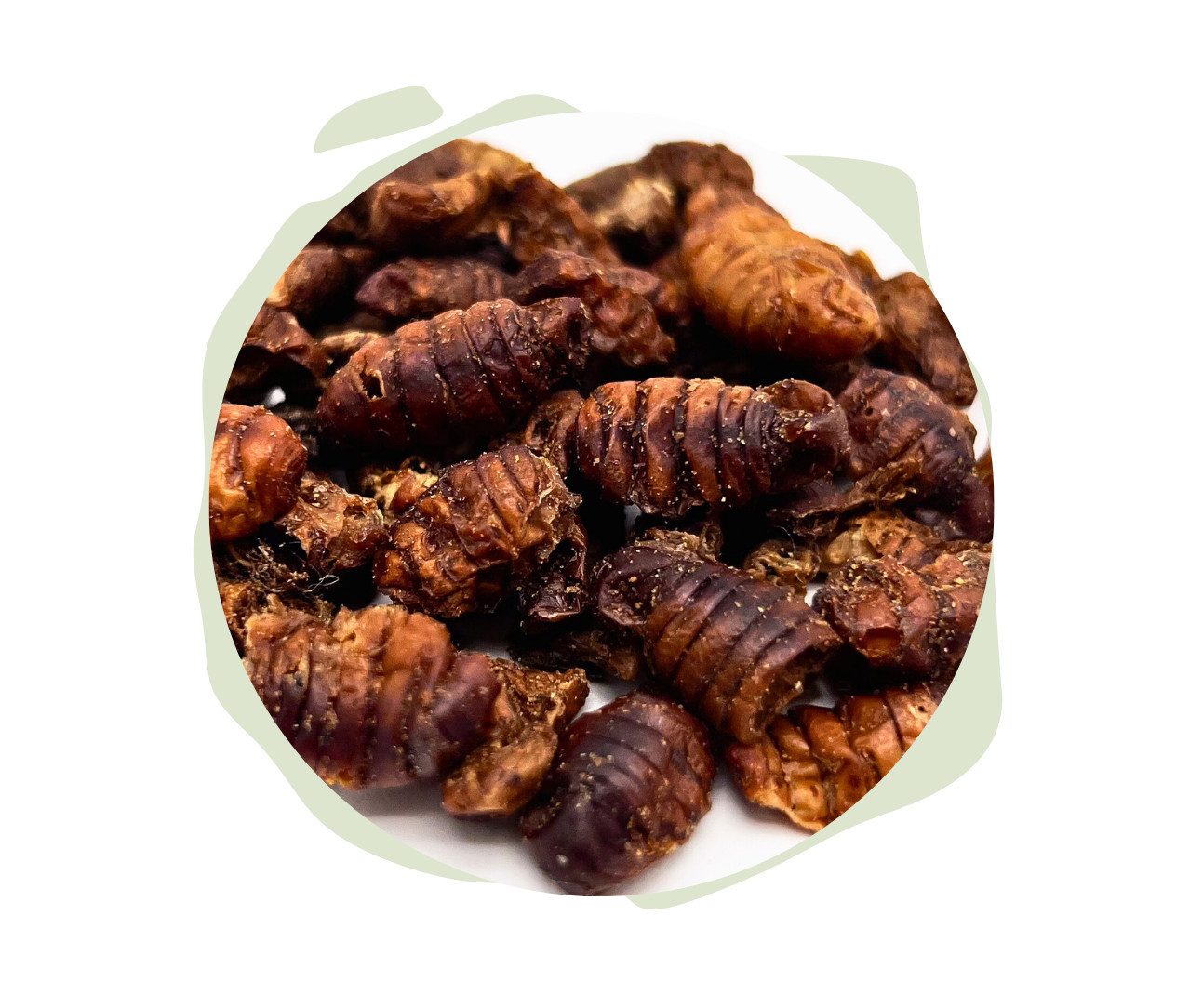 Warnick´s Tierfutterservice Seidenraupen getrocknet - Proteinreiche Nahrung für Koi & Teichfische, Ergänzungsfutter für: Fische, Schildkröten