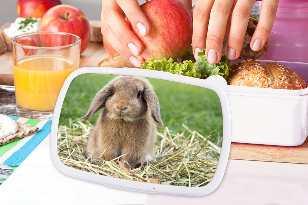 MuchoWow Lunchbox für Tier, Kaninchen (2-tlg), weiß Kinder und für Mädchen - Brotdose, Brotbox Jungs und Erwachsene, - Kunststoff, Stroh