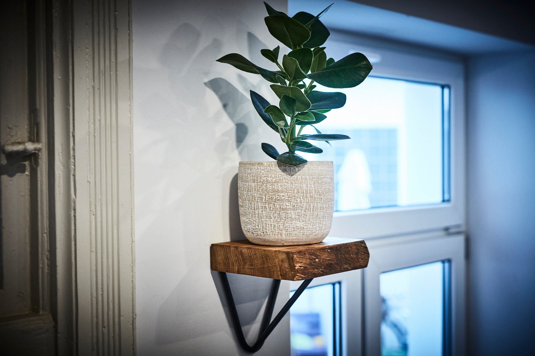 Living Oak Wandregal Wandregal Eiche, Wandregal mit Halterung Dekoregal